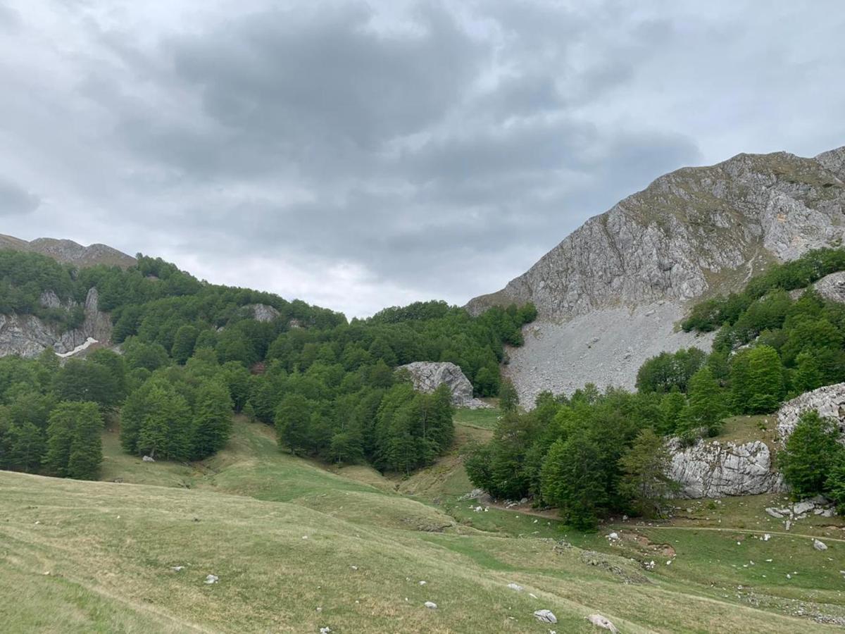 Joen Village Librazhet Dış mekan fotoğraf