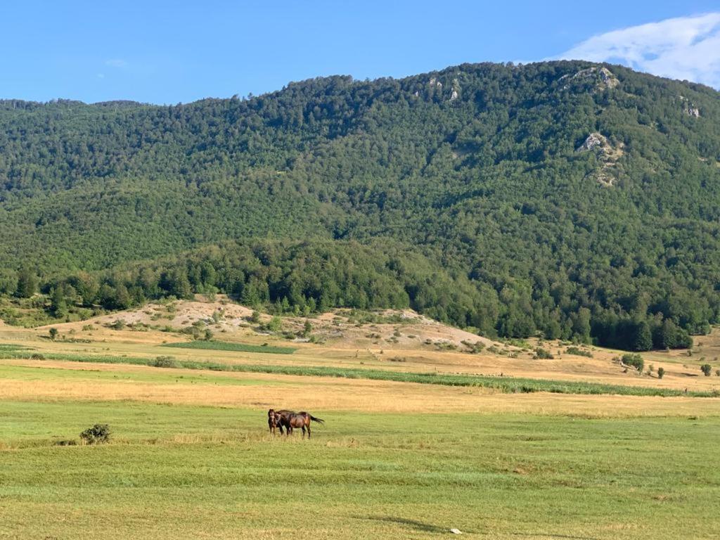 Joen Village Librazhet Dış mekan fotoğraf